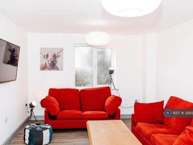 Room for rent in Wilden, Rushock