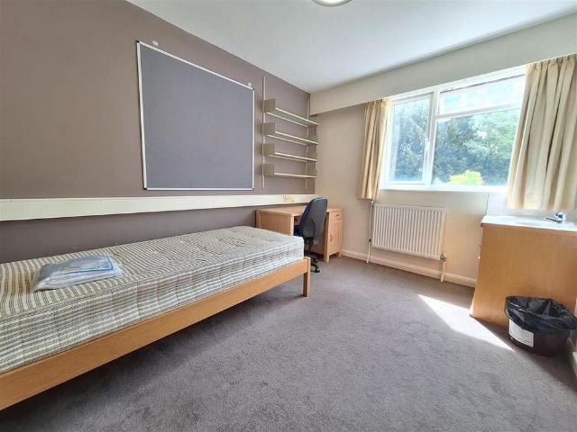 Room for rent in Newtown, Reading