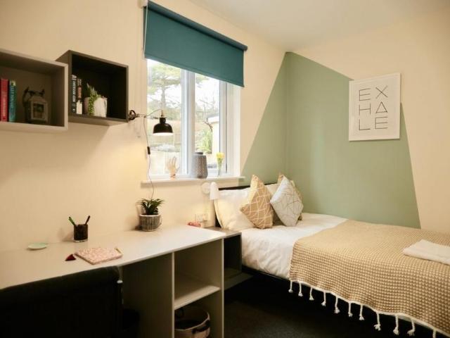 Room for rent in Coldean, Brighton & Hove