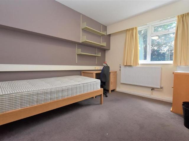 Room for rent in Newtown, Reading