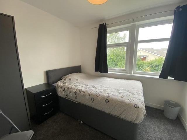 Room for rent in St. Peter the Great County, St Peters
