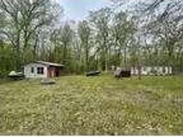 House for rent in Bitely, Lilley Township