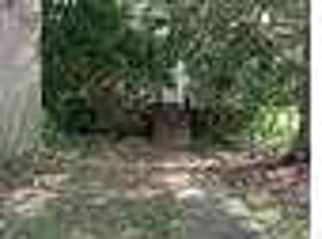 House for rent in Macomb, McDonough County
