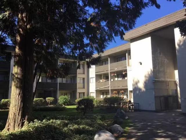 Condo for rent in Surrey, British Columbia