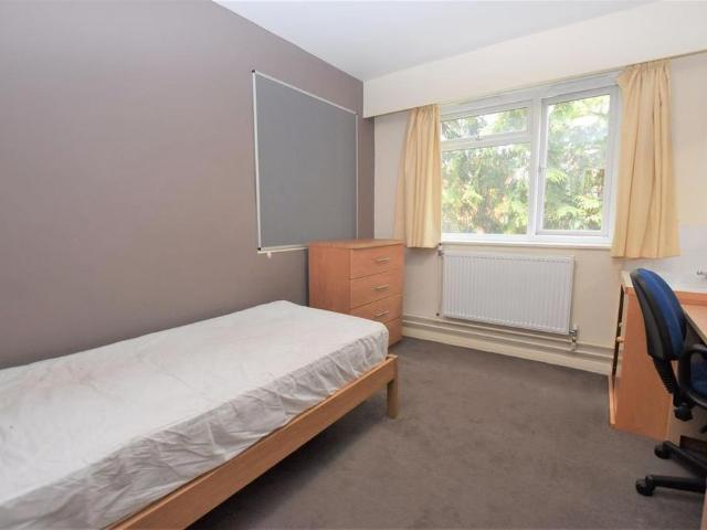 Room for rent in Newtown, Reading
