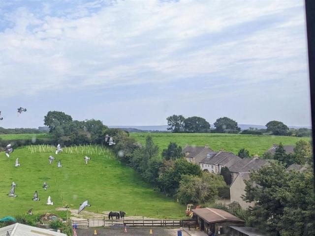 Studio for rent in Bare, Lancashire