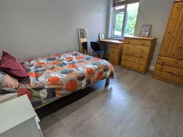 House for rent