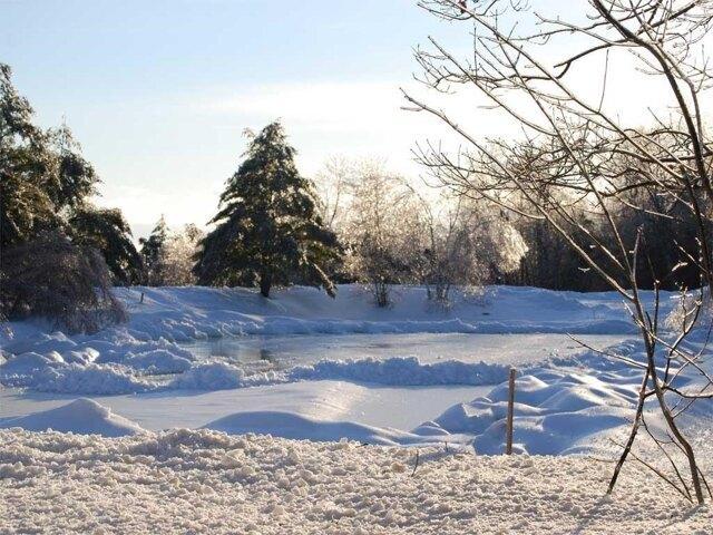 Condo for sale in New Hampshire