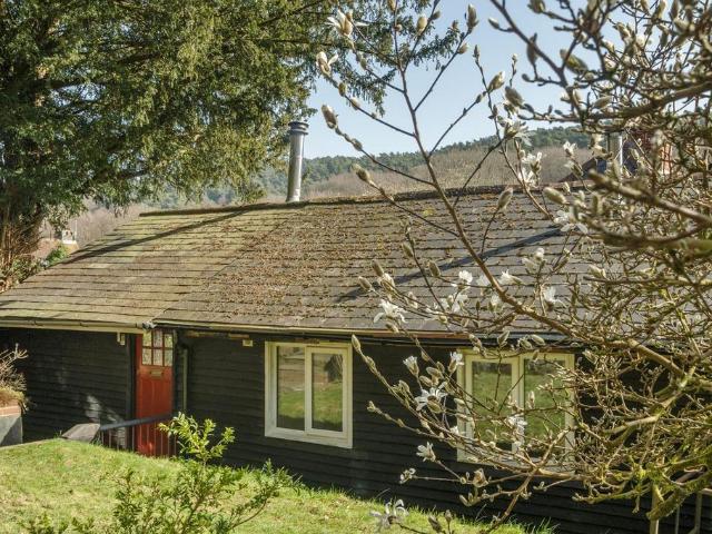 Bungalow for rent in Great Stoatley, Waverley
