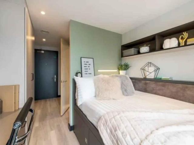 Room for rent in Newtown, Falcon Lodge
