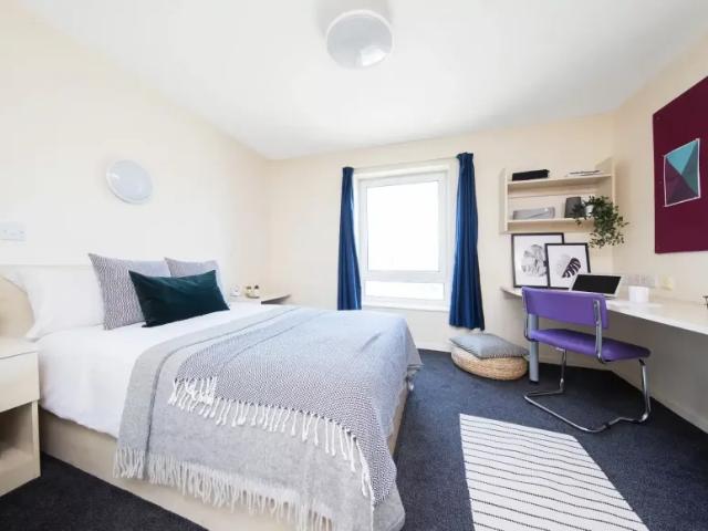 Room for rent in Falcon Lodge, Wales