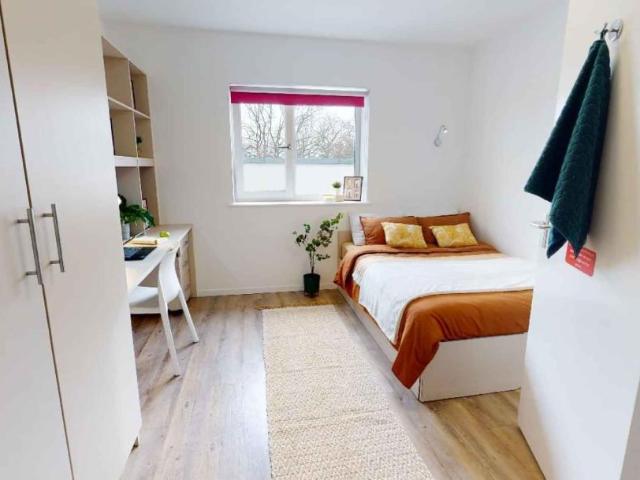 Room for rent in Ripley Springs, Row Town