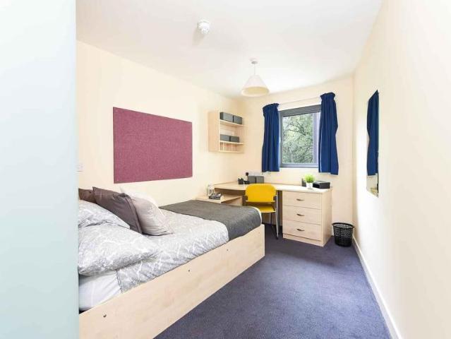 Room for rent in Park District, Scotland