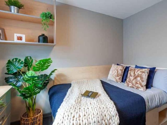 Room for rent in Bede Island, Old Wharf