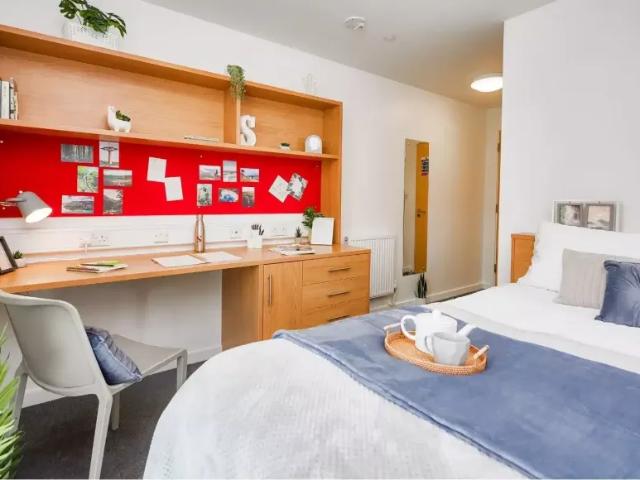 Room for rent in Chinatown, Calderstones
