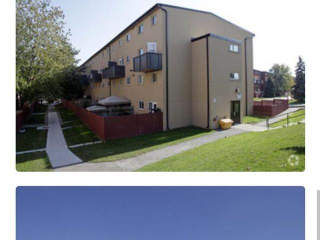 Room for rent in Mississauga