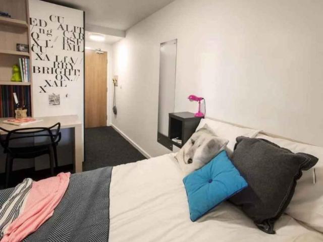 Room for rent in Grainger Town, Tyne And Wear