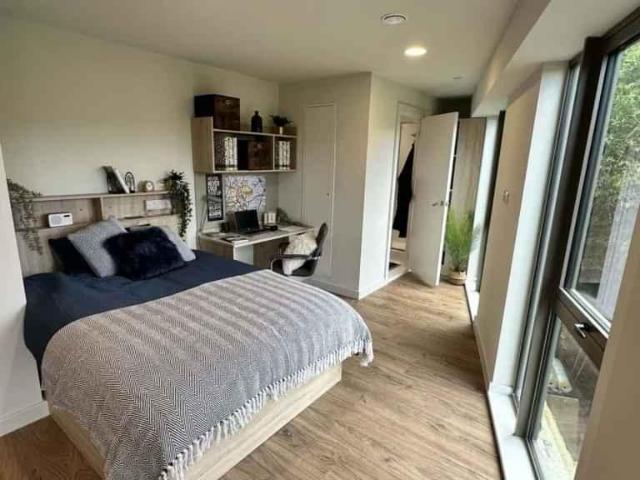Room for rent in The Meadows, Haddon
