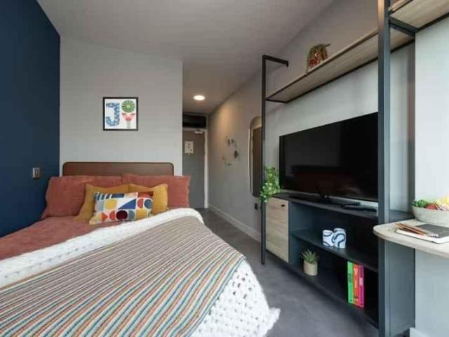 Room for rent in The Meadows, Haddon