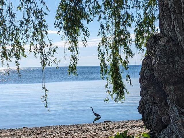 Room for rent in Oakville