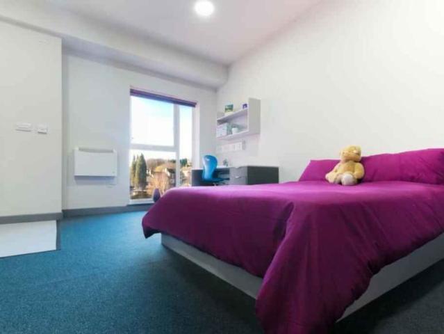 Room for rent in Stoke, Stoke-on-Trent