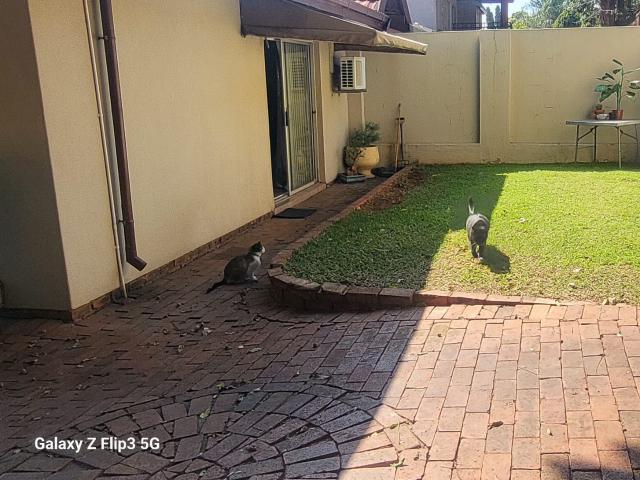 House for rent in Waterkloof, Gauteng