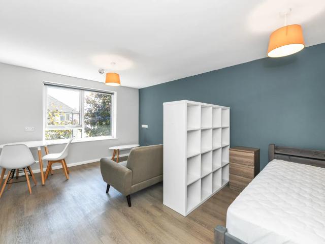 Studio for rent in Clifton, Haddon