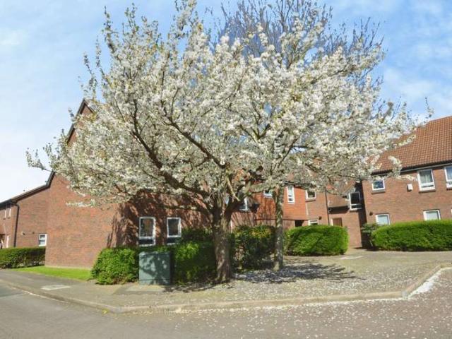 Studio for sale in Beckton, Greater London