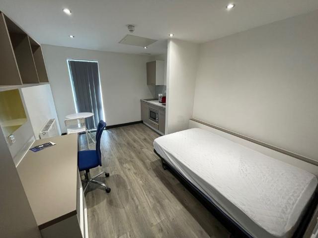 Studio for rent in Spring Park, Luton
