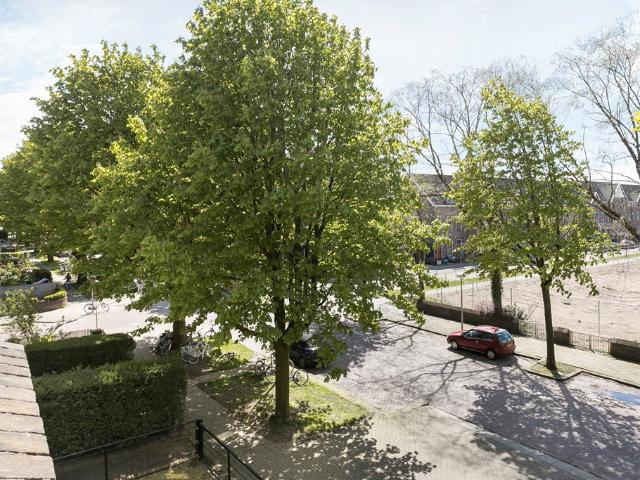 Woning te huur in Spijkerkwartier, Arnhem