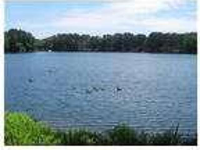 House for rent in Virginia