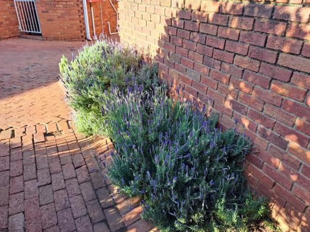 Townhouse for rent in Bloemfontein, Free State