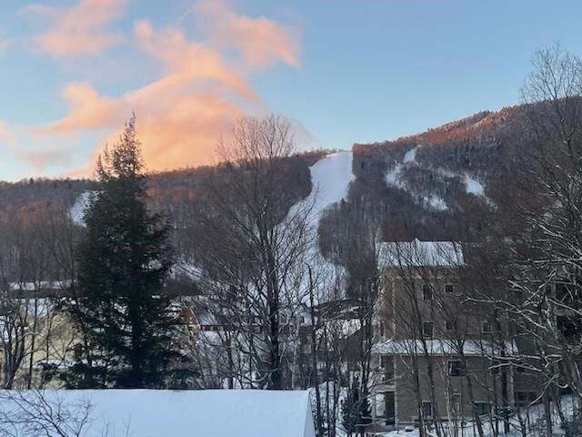 Condo for sale in Warren, Vermont