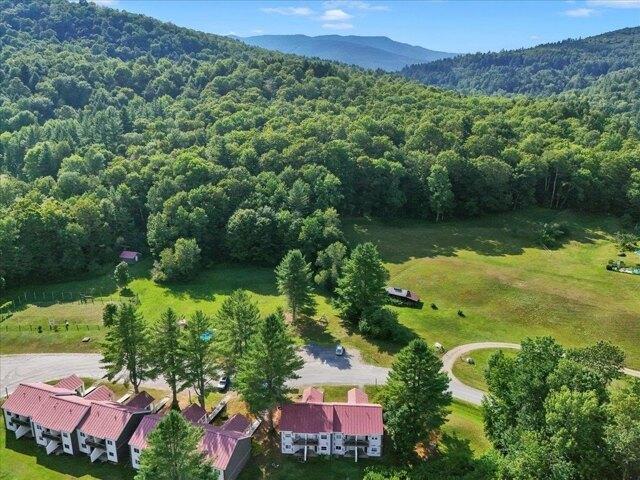 Condo for sale in Warren, Vermont