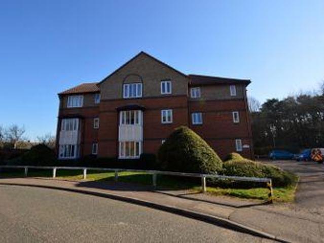 House for rent in Fordham Heath