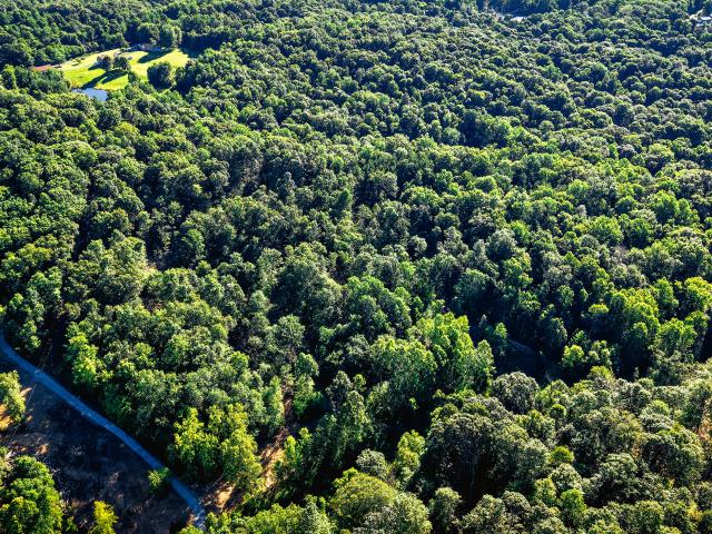 Land for sale in Nineveh, Indiana