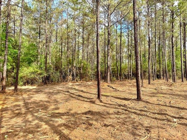 Land for sale in Polk, Texas