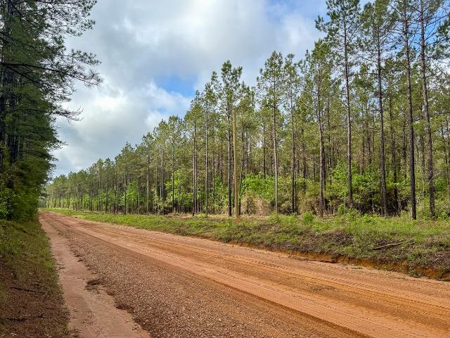 Land for sale in Polk, Texas