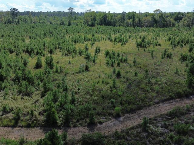 Land for sale in Rowesville, South Carolina