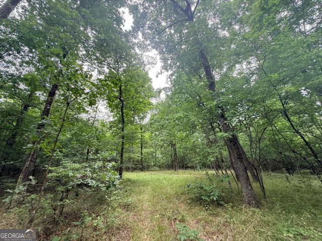 Land for sale in Carlton, Georgia