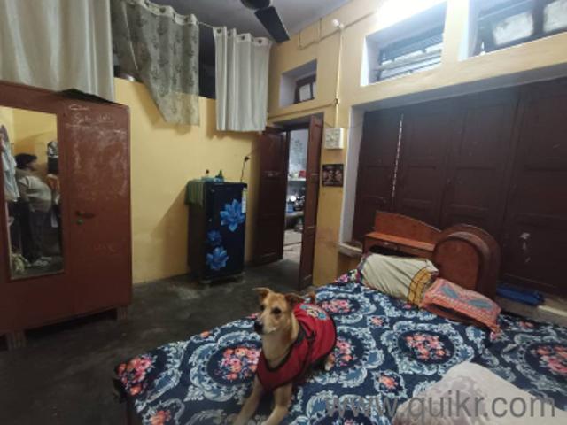 Property for rent in Lakhana, Arunachal Pradesh