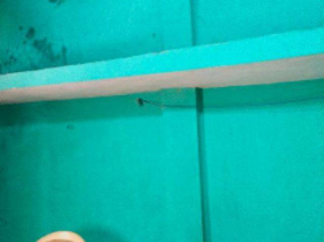 Property for rent in Tamil Nadu