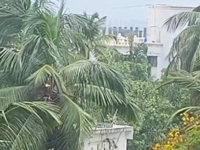 Flat for rent in Andheri - Mumbai, National Capital Territory Of Delhi