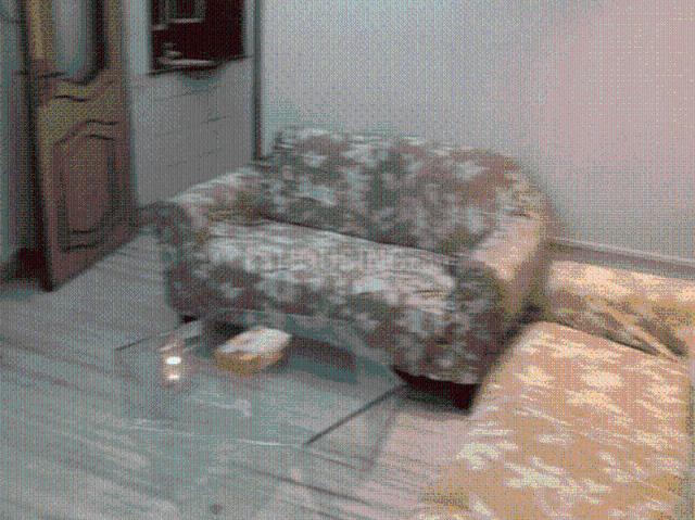Flat for rent in Prabhadevi - Mumbai, National Capital Territory Of Delhi