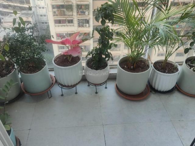 Flat for rent in Prabhadevi - Mumbai, National Capital Territory Of Delhi