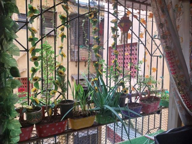 Flat for rent in Prabhadevi - Mumbai, National Capital Territory Of Delhi