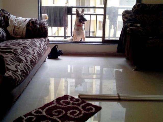 Flat for rent in Kalwa, National Capital Territory Of Delhi