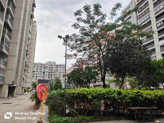 Flat for rent in Madya