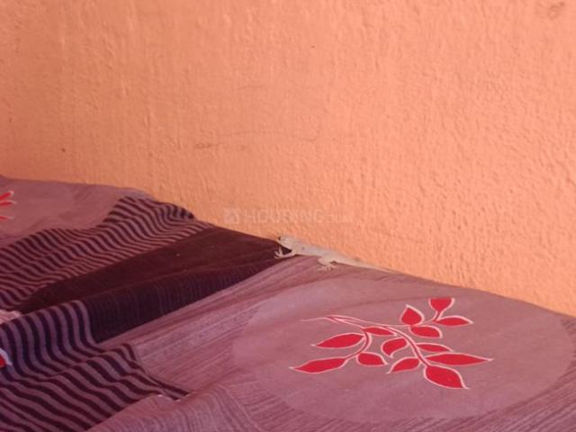 Flat for rent in Bihar