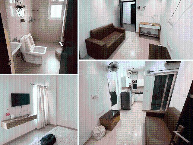 Flat for rent in Greater Noida - Delhi, Arunachal Pradesh